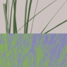 Rock and Grass (modu-gr1)